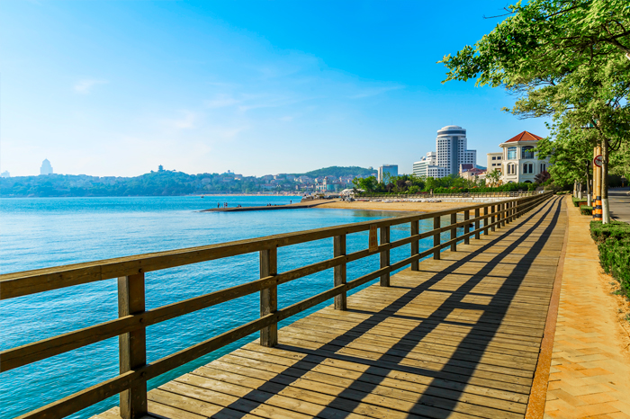 Stanley Park & Seawall in British Columbia